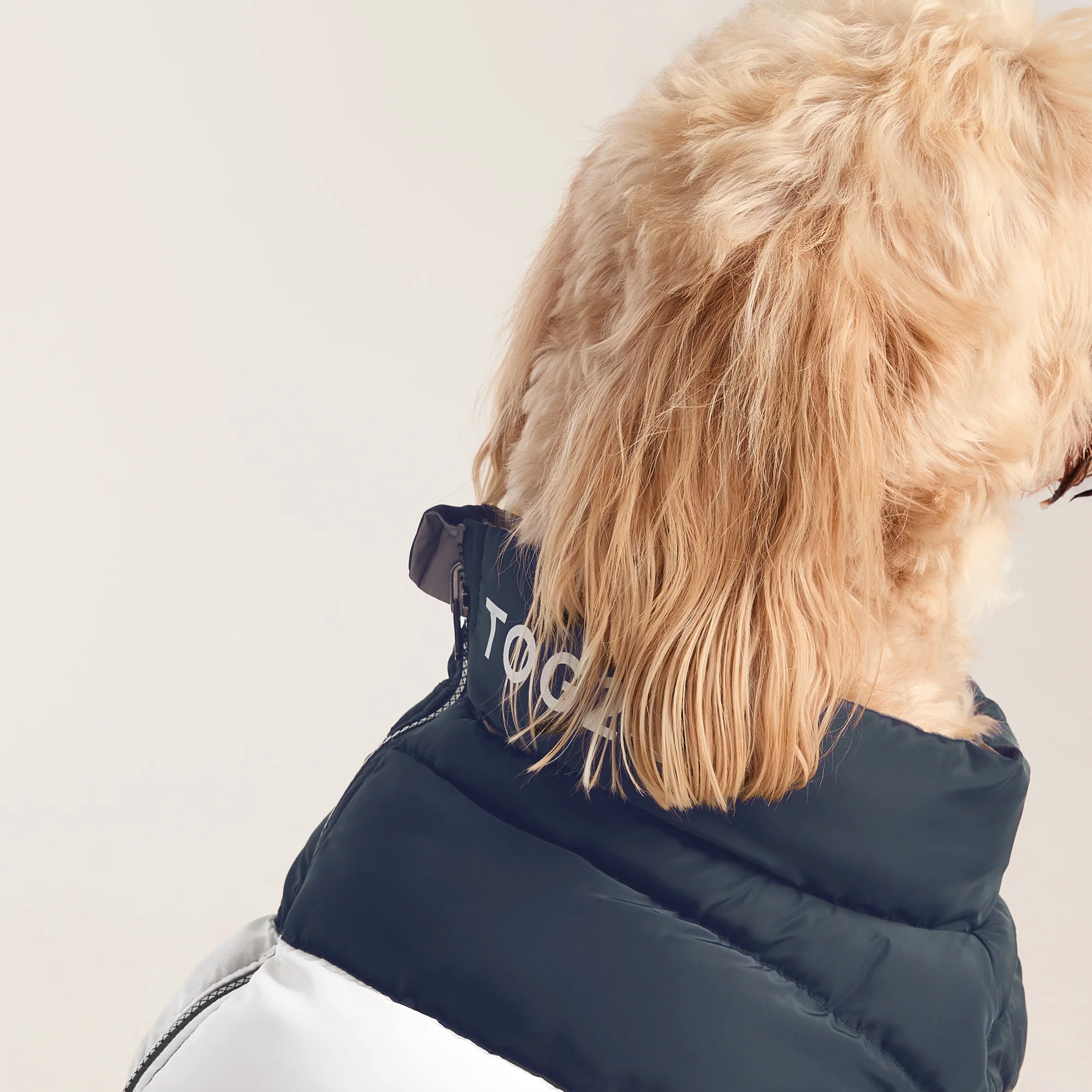 Fetch Padded Dog Coat L - Dark Indigo/Vanilla/Light Forest - Image 3