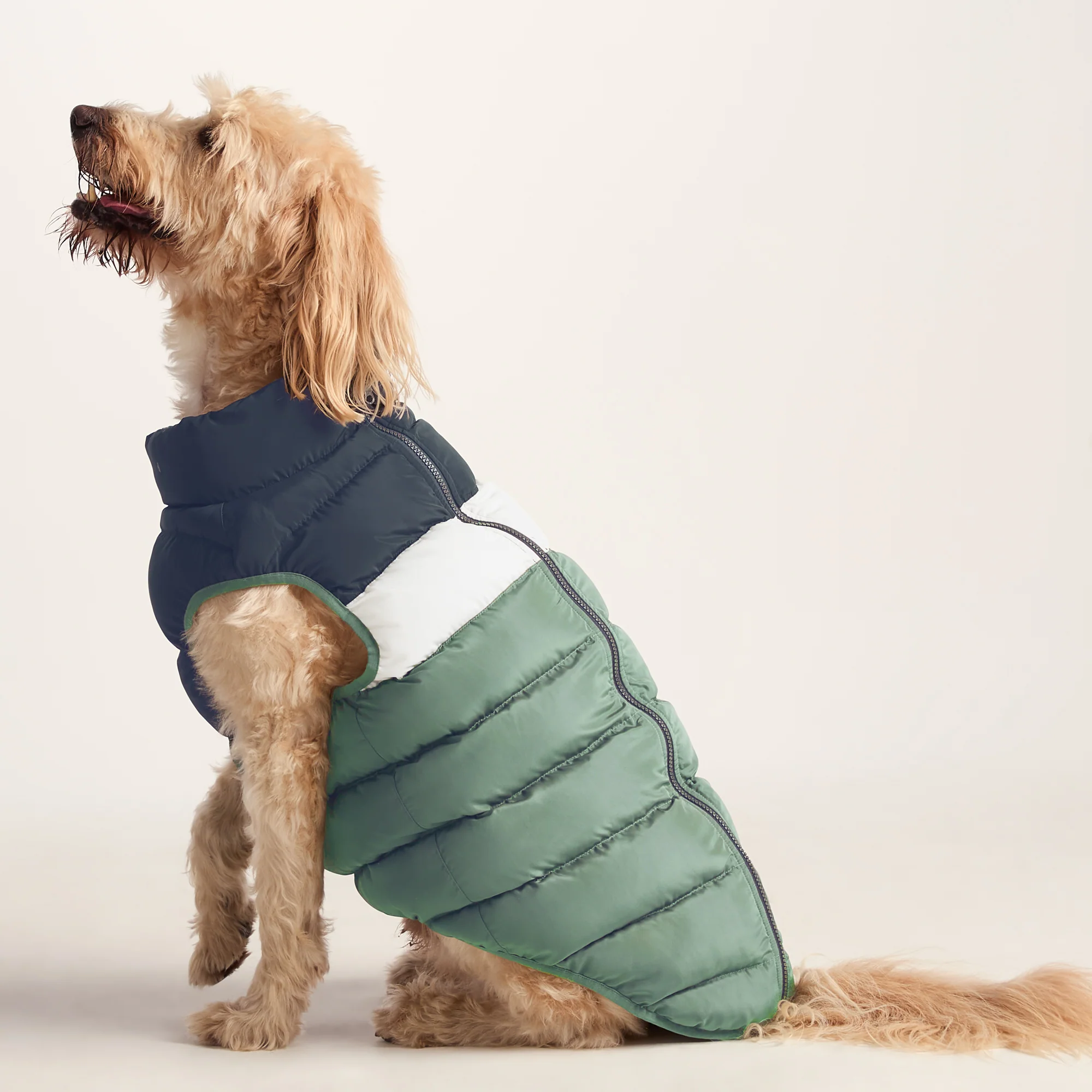 Fetch Padded Dog Coat L - Dark Indigo/Vanilla/Light Forest - Image 4