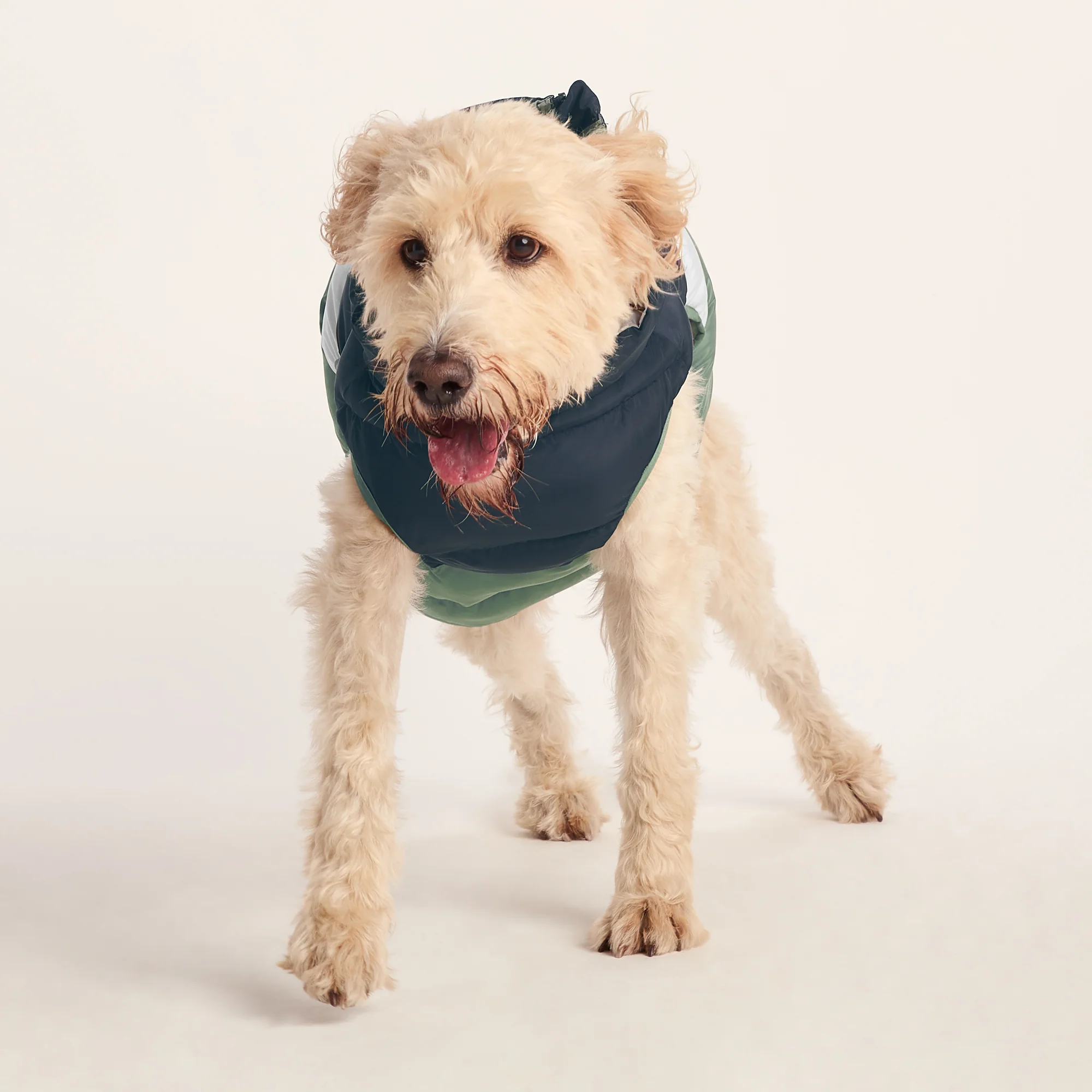 Fetch Padded Dog Coat L - Dark Indigo/Vanilla/Light Forest - Image 5