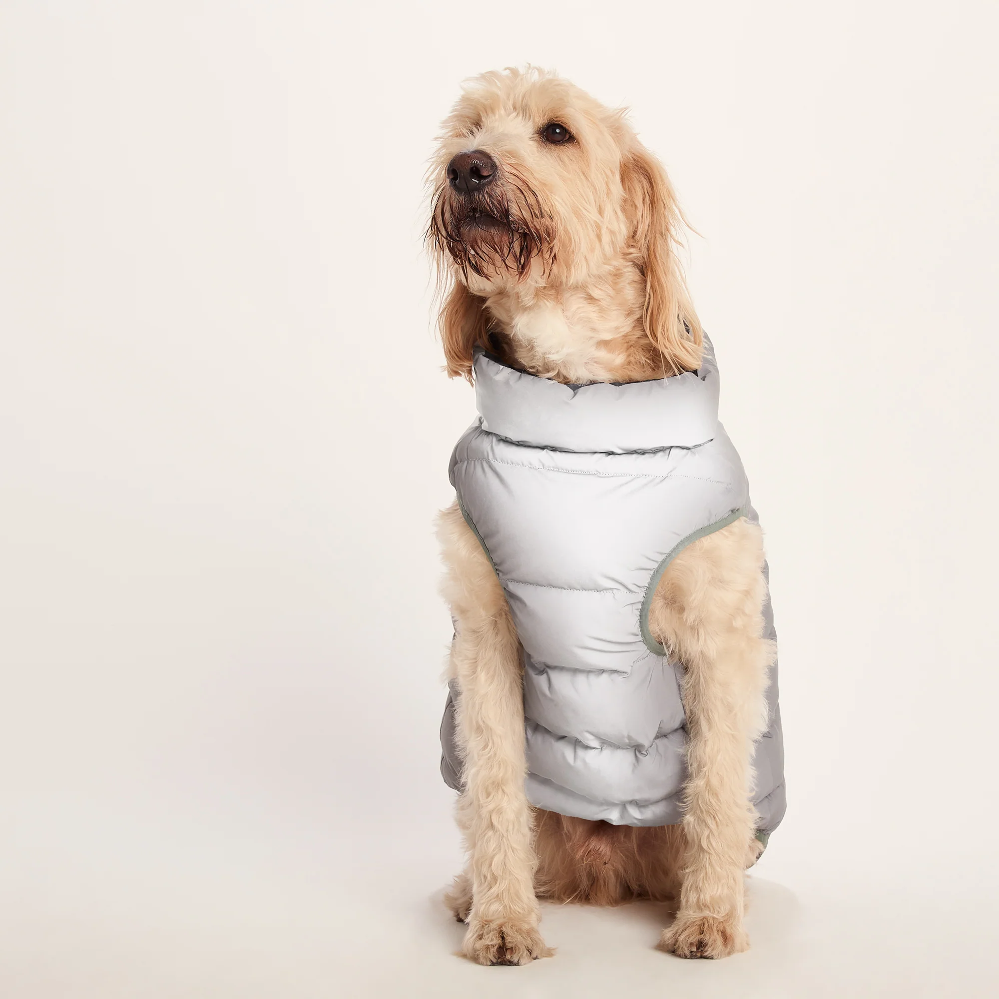 Fetch Padded Dog Coat L - Dark Indigo/Vanilla/Light Forest - Image 6