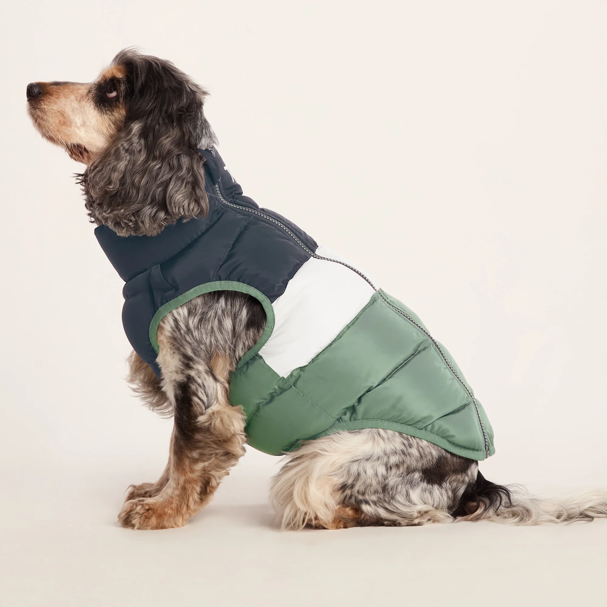 Fetch Padded Dog Coat M - Dark Indigo/Vanilla/Light Forest - Image 4