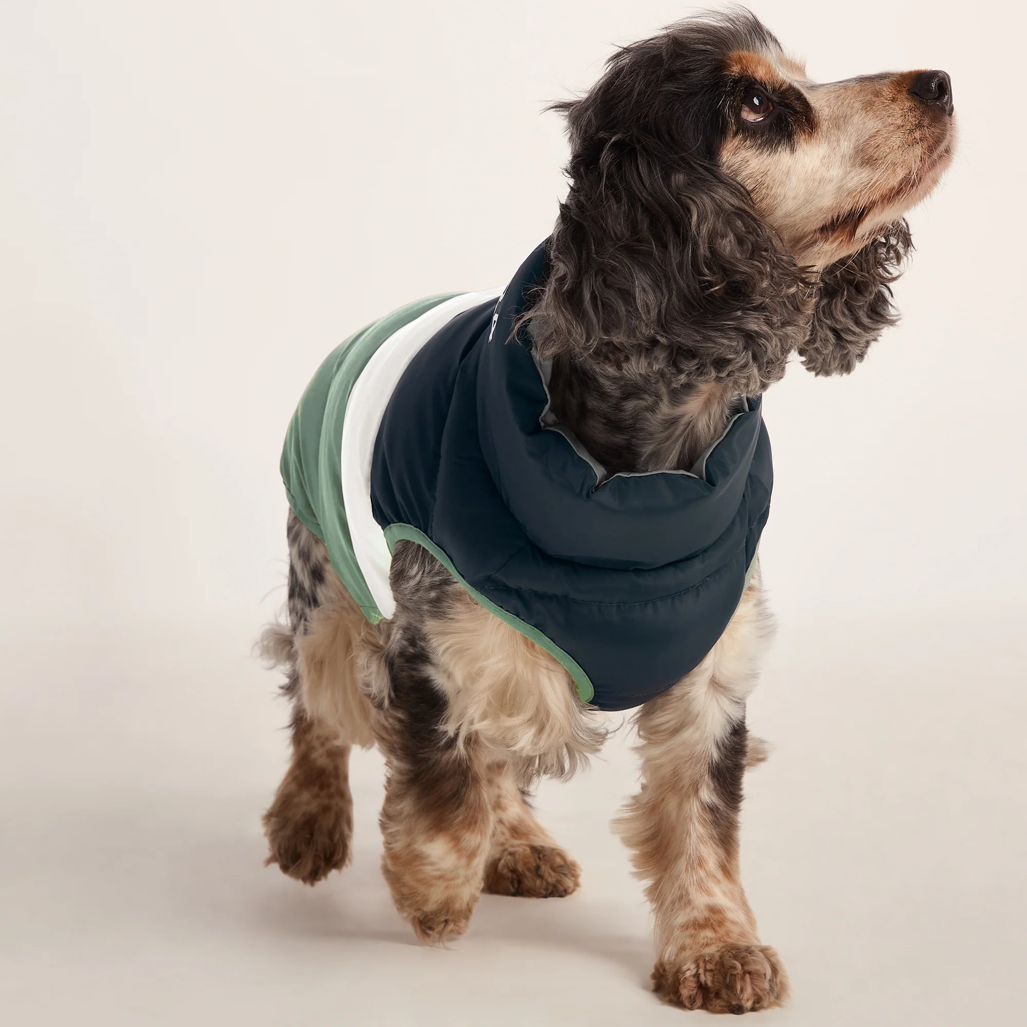 Fetch Padded Dog Coat M - Dark Indigo/Vanilla/Light Forest - Image 5