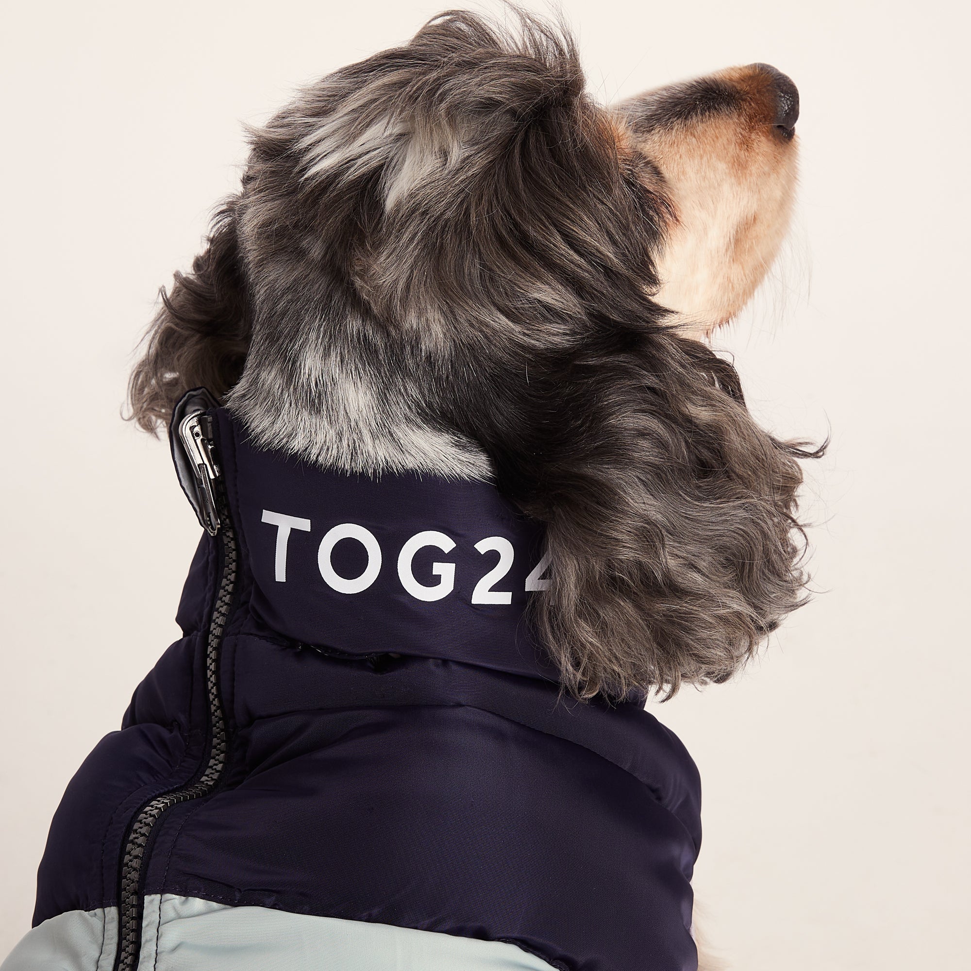Fetch Padded Dog Coat M - Oxford Blue/Light Mist/Lavender Grey - Image 3