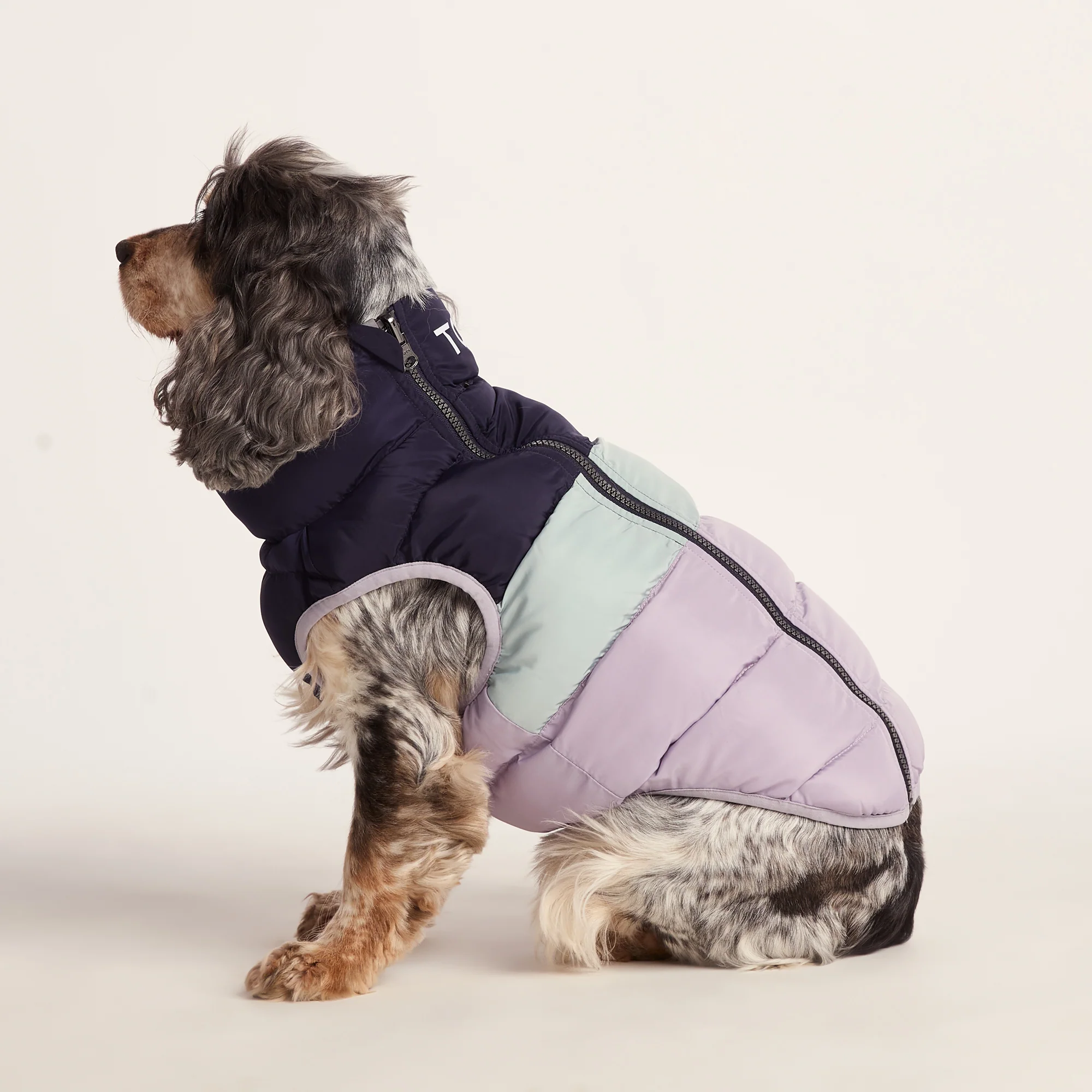 Fetch Padded Dog Coat M - Oxford Blue/Light Mist/Lavender Grey - Image 4