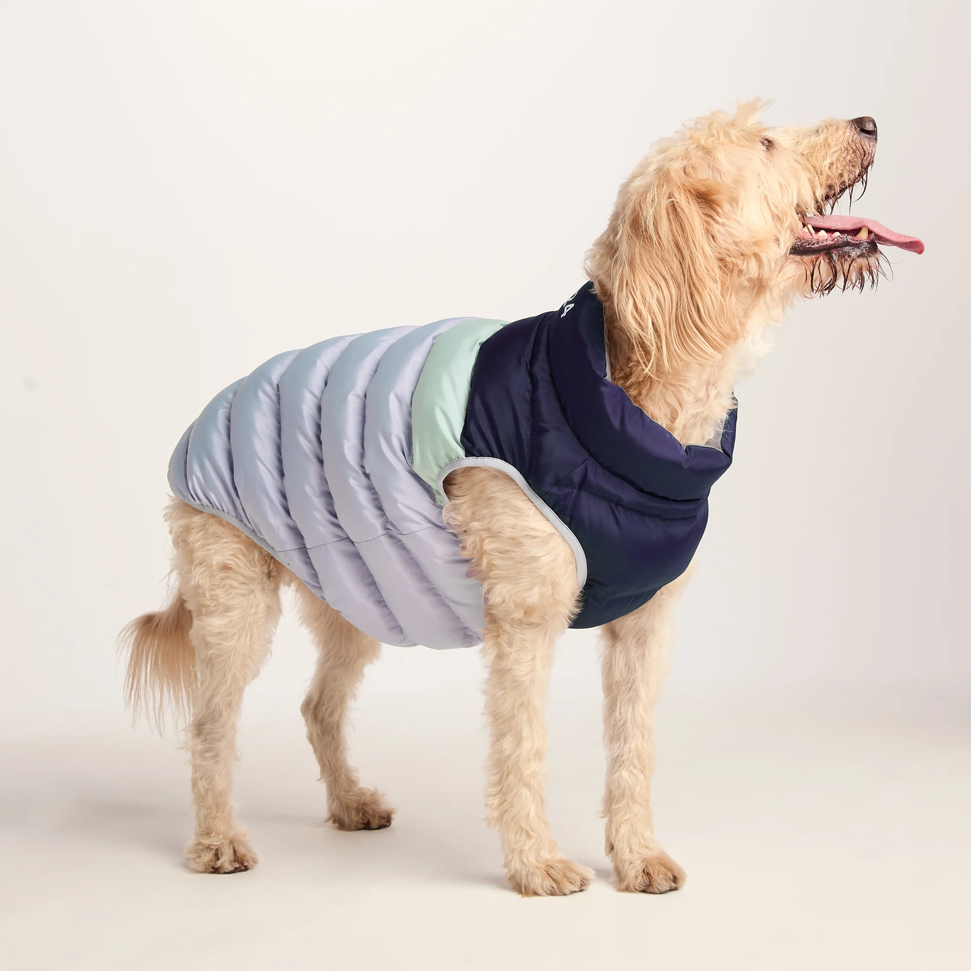 Fetch Padded Dog Coat XL - Oxford Blue/Light Mist/Lavender Grey - Image 4