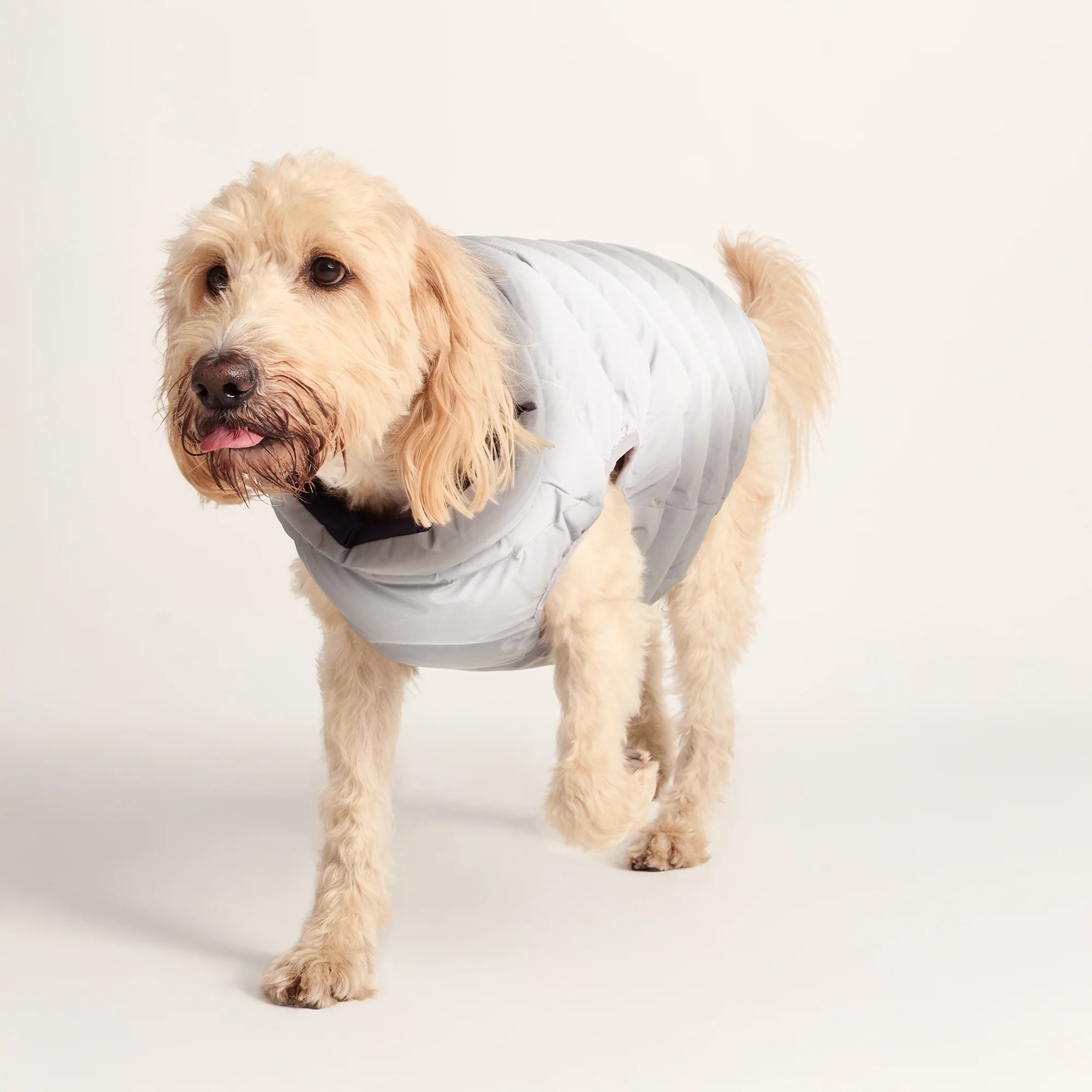 Fetch Padded Dog Coat XL - Oxford Blue/Light Mist/Lavender Grey - Image 5