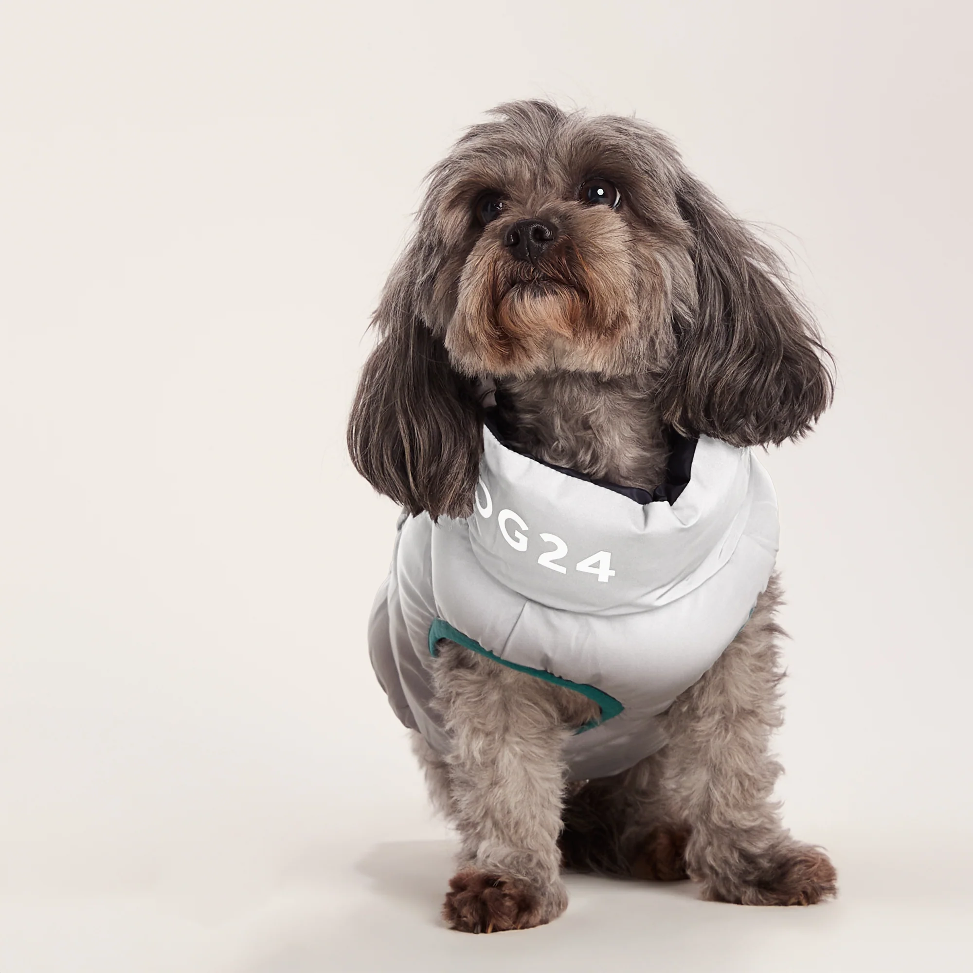 Fetch Padded Dog Coat XS - Dark Indigo/Mahogany Orange/Dark Turquoise - Image 6