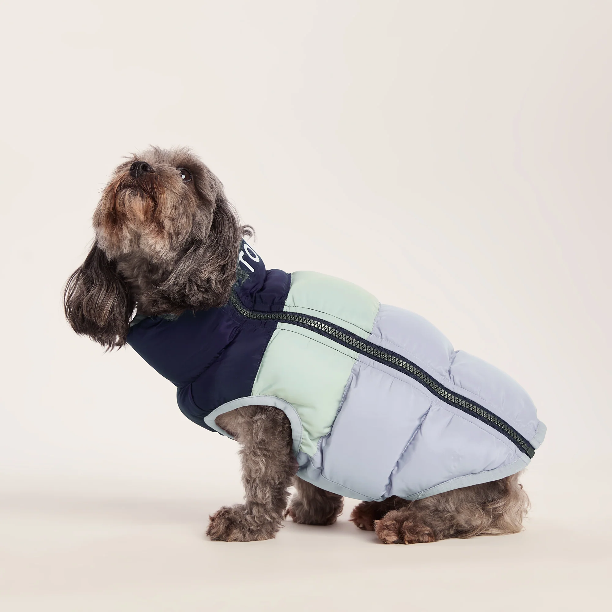 Fetch Padded Dog Coat XS - Oxford Blue/Light Mist/Lavender Grey - Image 3