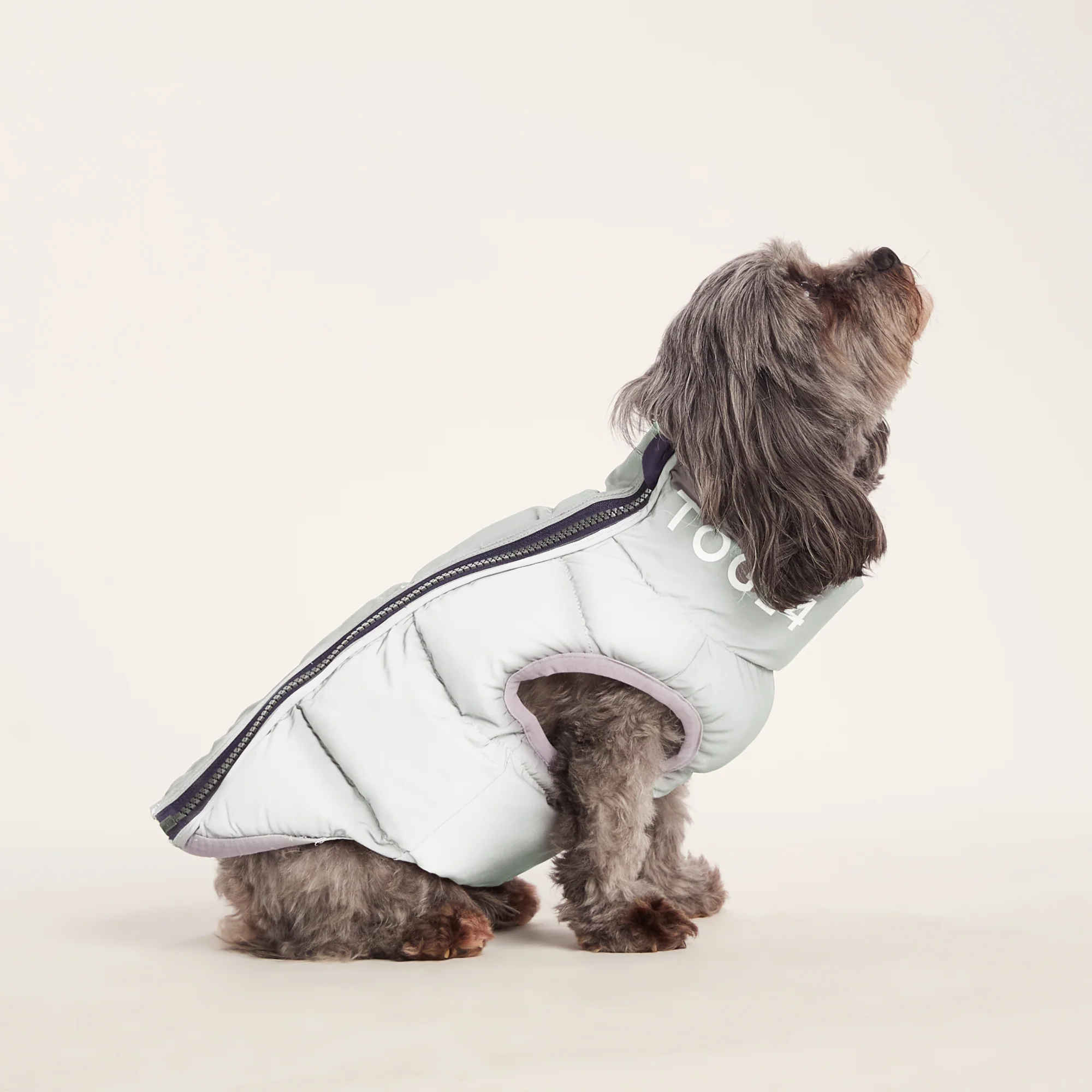 Fetch Padded Dog Coat XS - Oxford Blue/Light Mist/Lavender Grey - Image 6