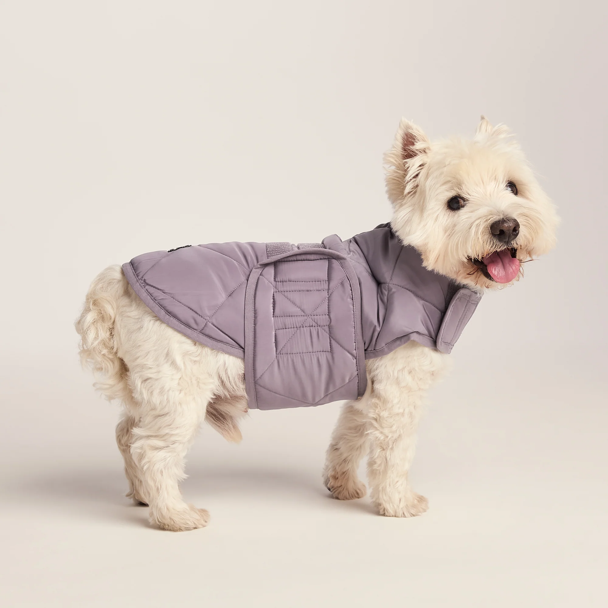 Fido Padded Dog Coat S - Dusky Lilac - Image 4