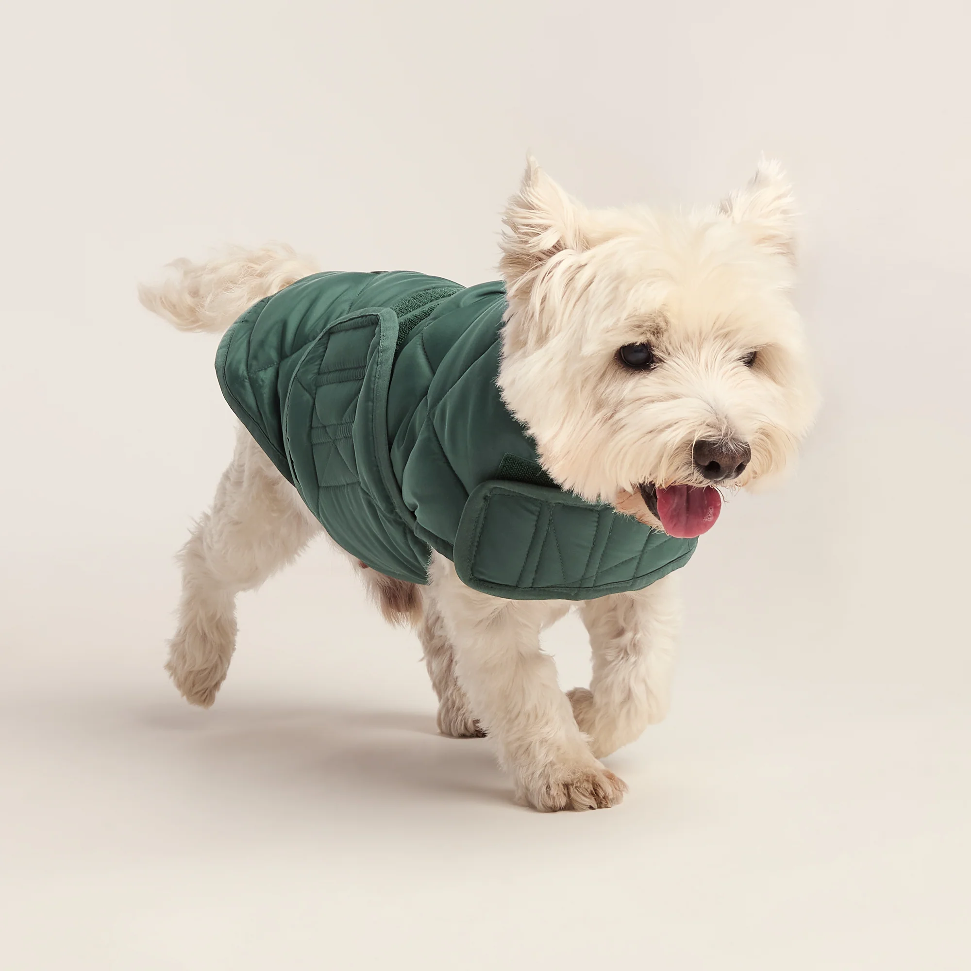Fido Padded Dog Coat S - Racing Green - Image 3