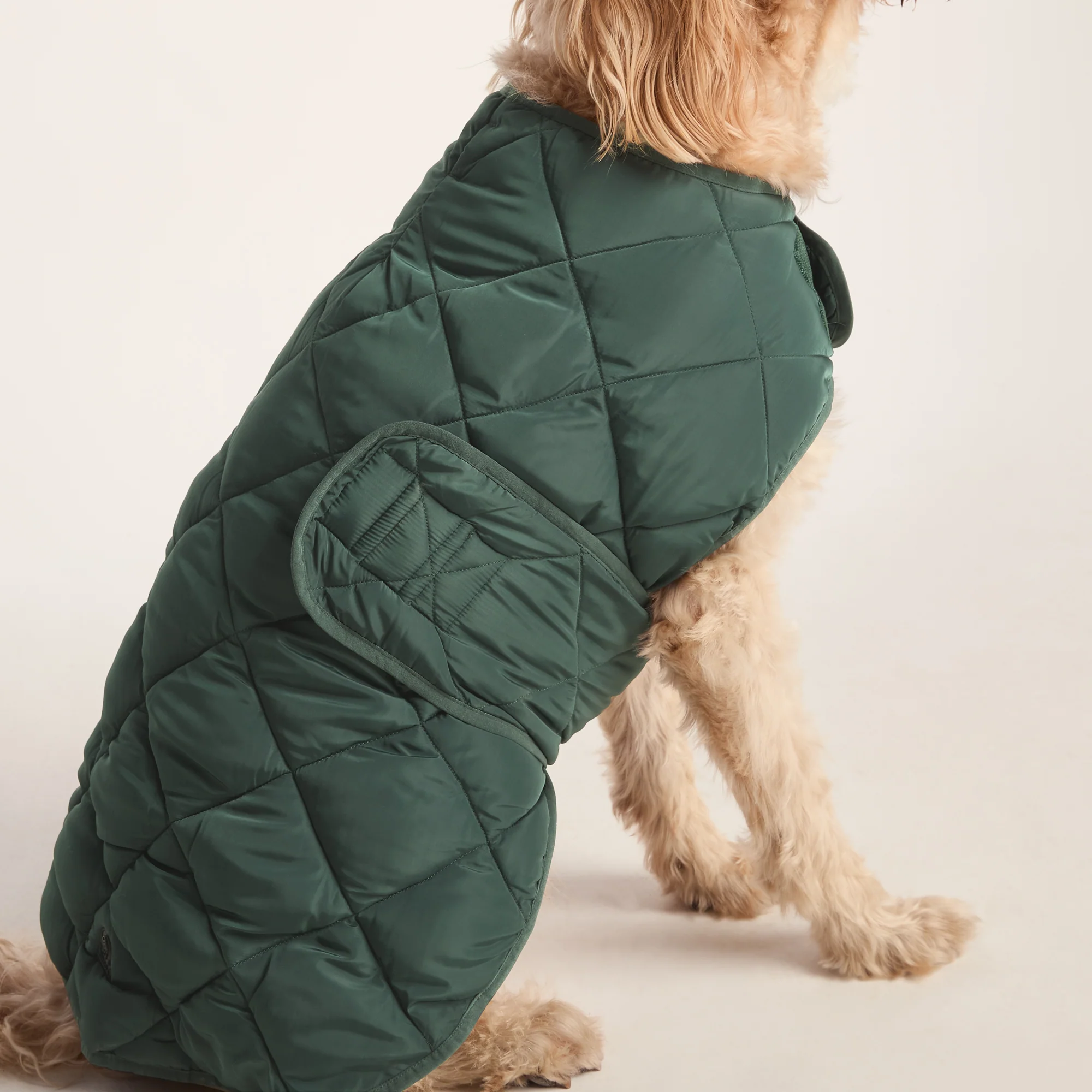 Fido Padded Dog Coat XL - Racing Green - Image 3
