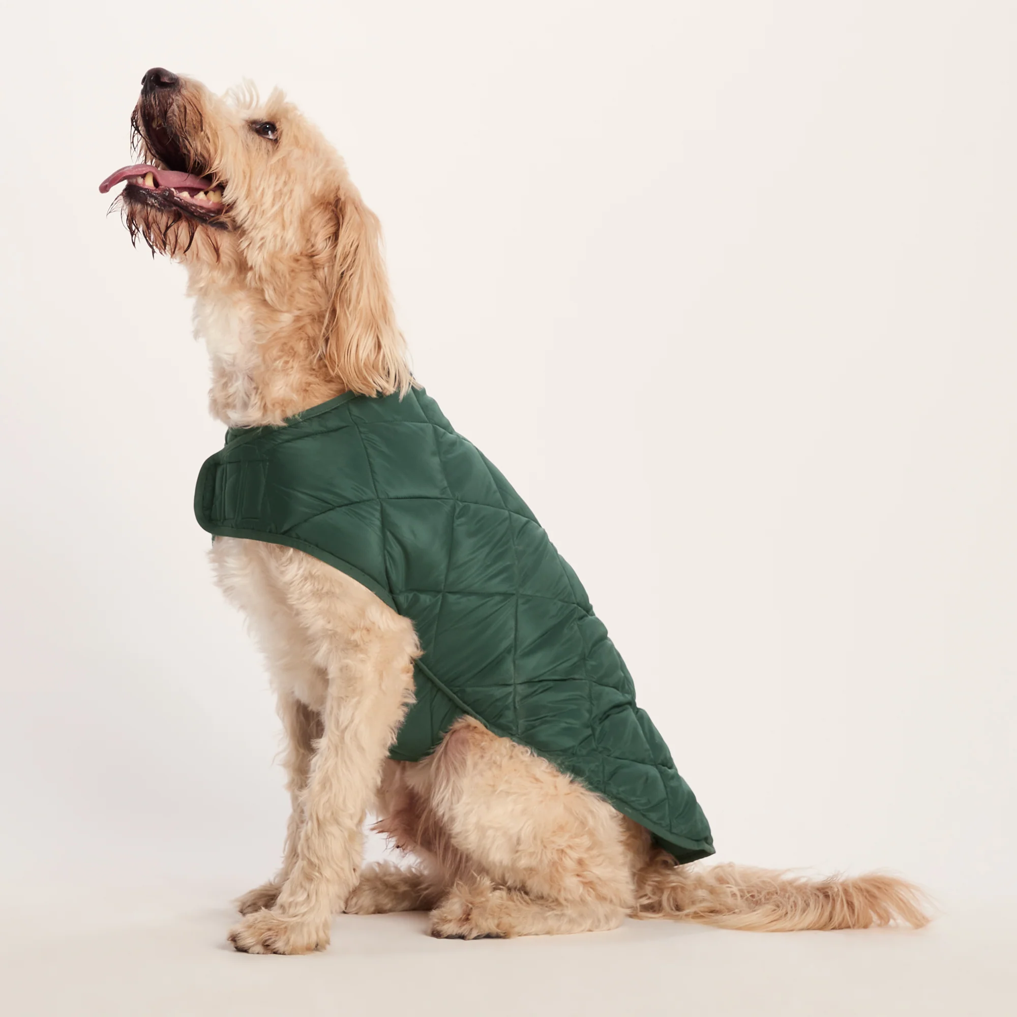 Fido Padded Dog Coat XL - Racing Green - Image 5