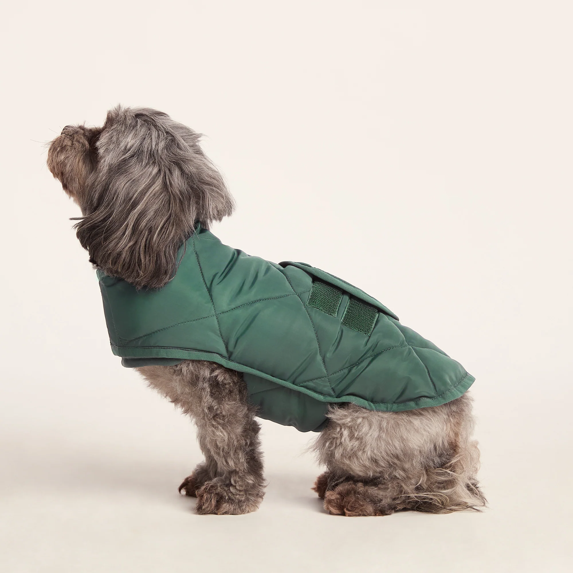 Fido Padded Dog Coat XS - Racing Green - Image 3
