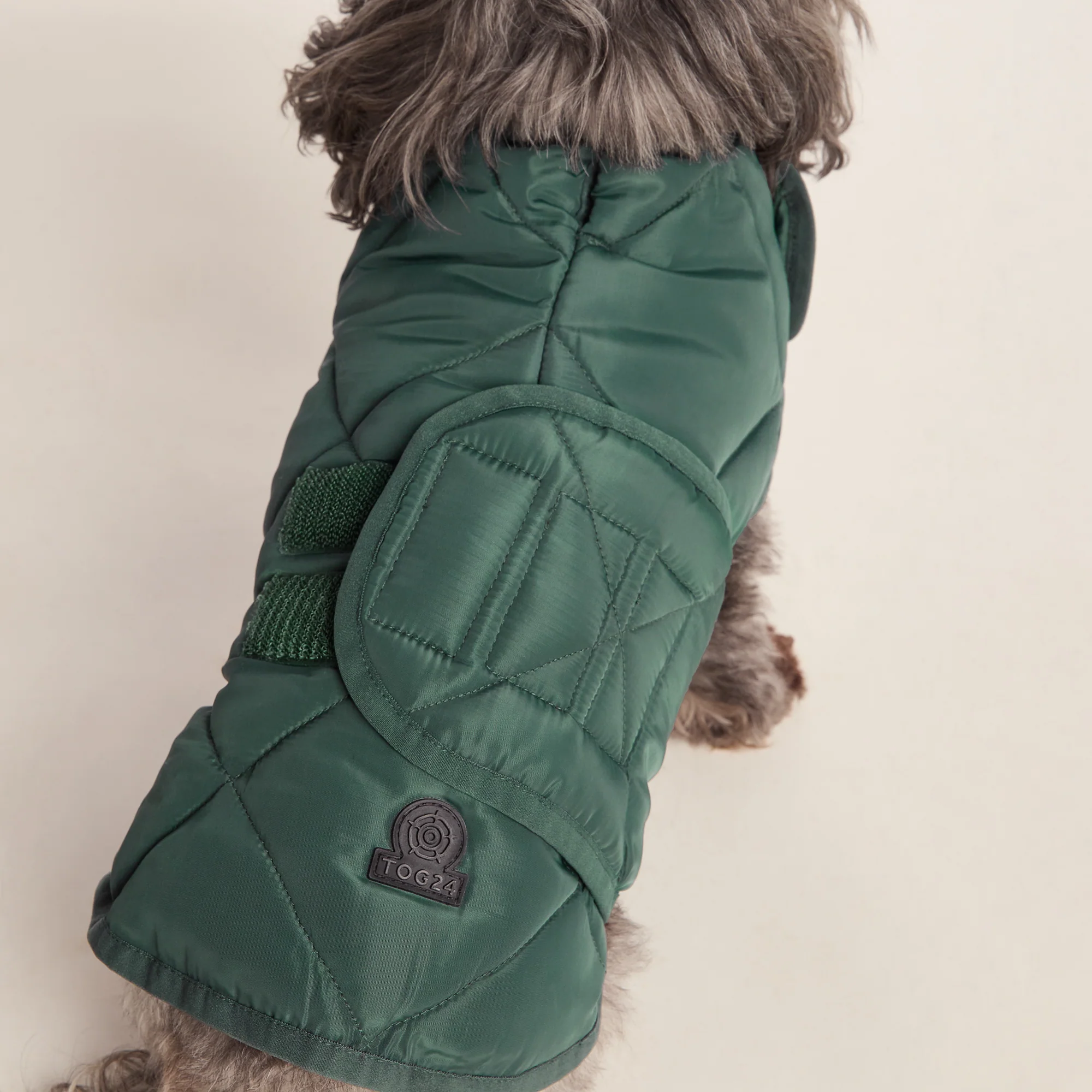 Fido Padded Dog Coat XS - Racing Green - Image 5