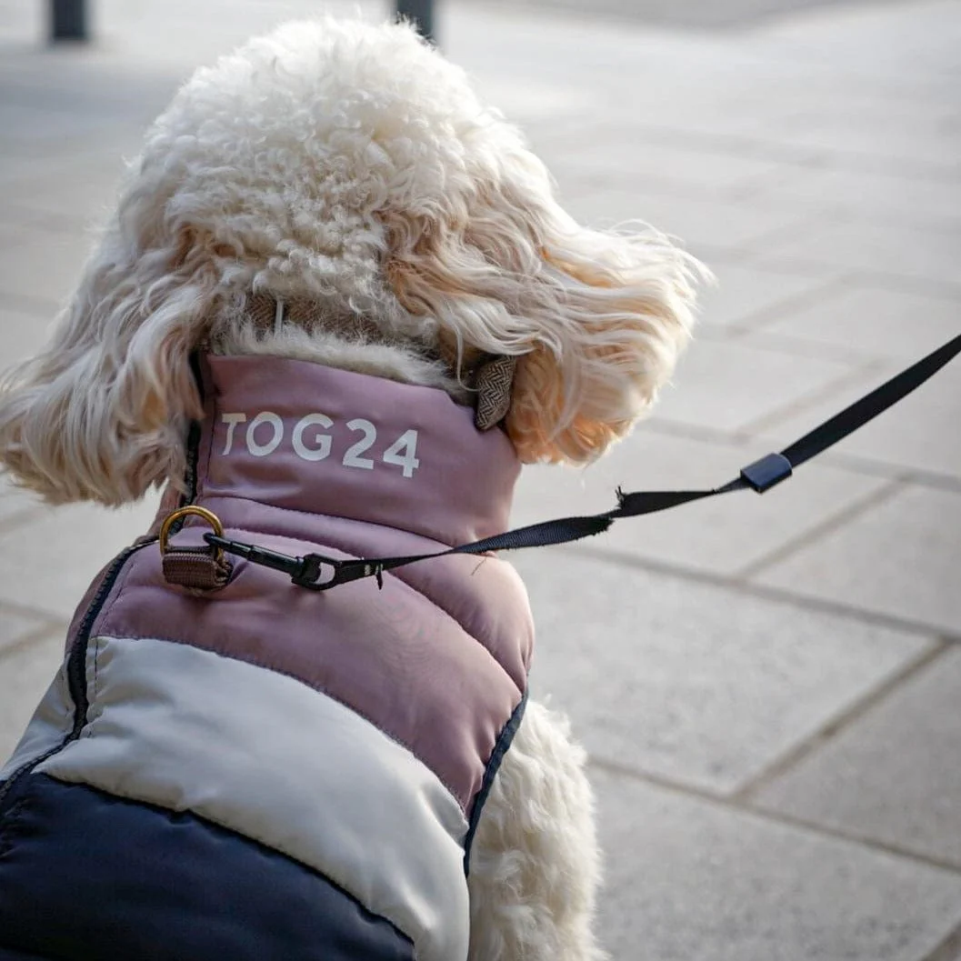 Garriston Womens Lightweight Padded Jacket - Washed Blue/Pink - Image 9